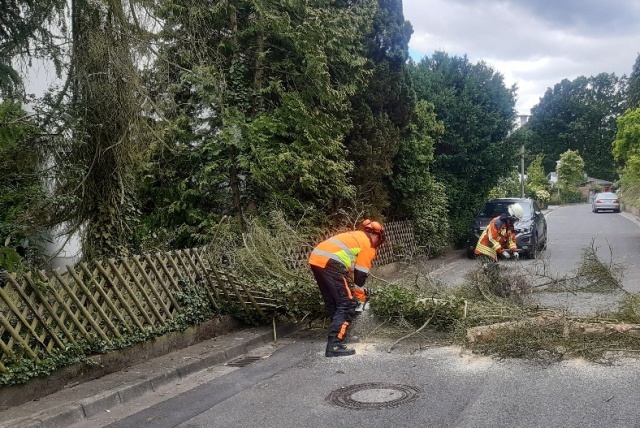 20230803_115908_resized zugeschnitten groß.jpg